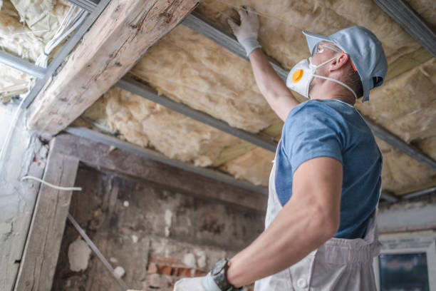 Best Insulation Installation Services in Edinburg, IL