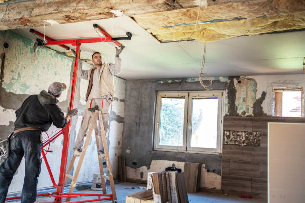 Best Residential Insulation in Edinburg, IL